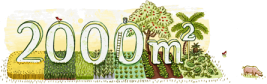2000m2